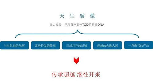 旭輝衢州萬達(dá)東項(xiàng)目策略提報(bào) 多維整合策劃與精準(zhǔn)公關(guān)服務(wù)